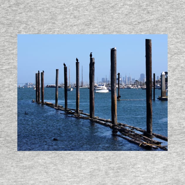 Sausalito Pile Moorings. San Francisco Bay Area by IgorPozdnyakov